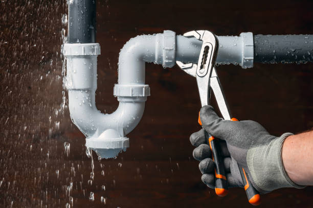 Professional Plumbing technician working in Mims, FL